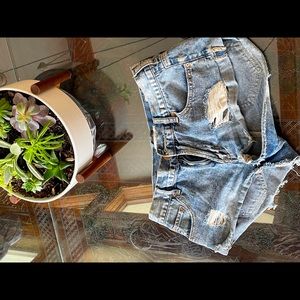 Bullhead Jean Shorts